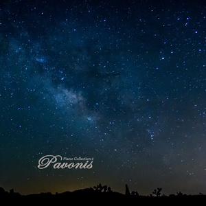 elitepain鞭打全部
